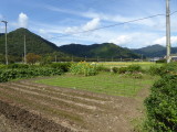 img0000.jpg