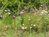 img0007.jpg