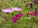 img0023.jpg
