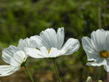 img0024.jpg