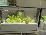 img0003.jpg