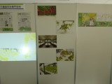 img0005.jpg