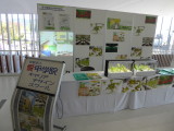 img0021.jpg