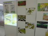 img0024.jpg