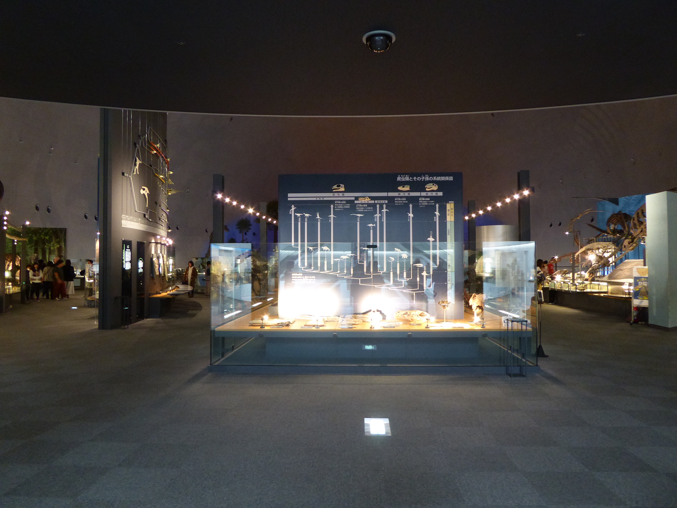 P1100137.JPG