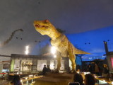 img0014.jpg