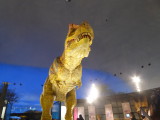 img0015.jpg