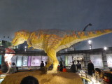 img0016.jpg