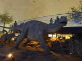 img0018.jpg