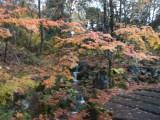 img0035.jpg