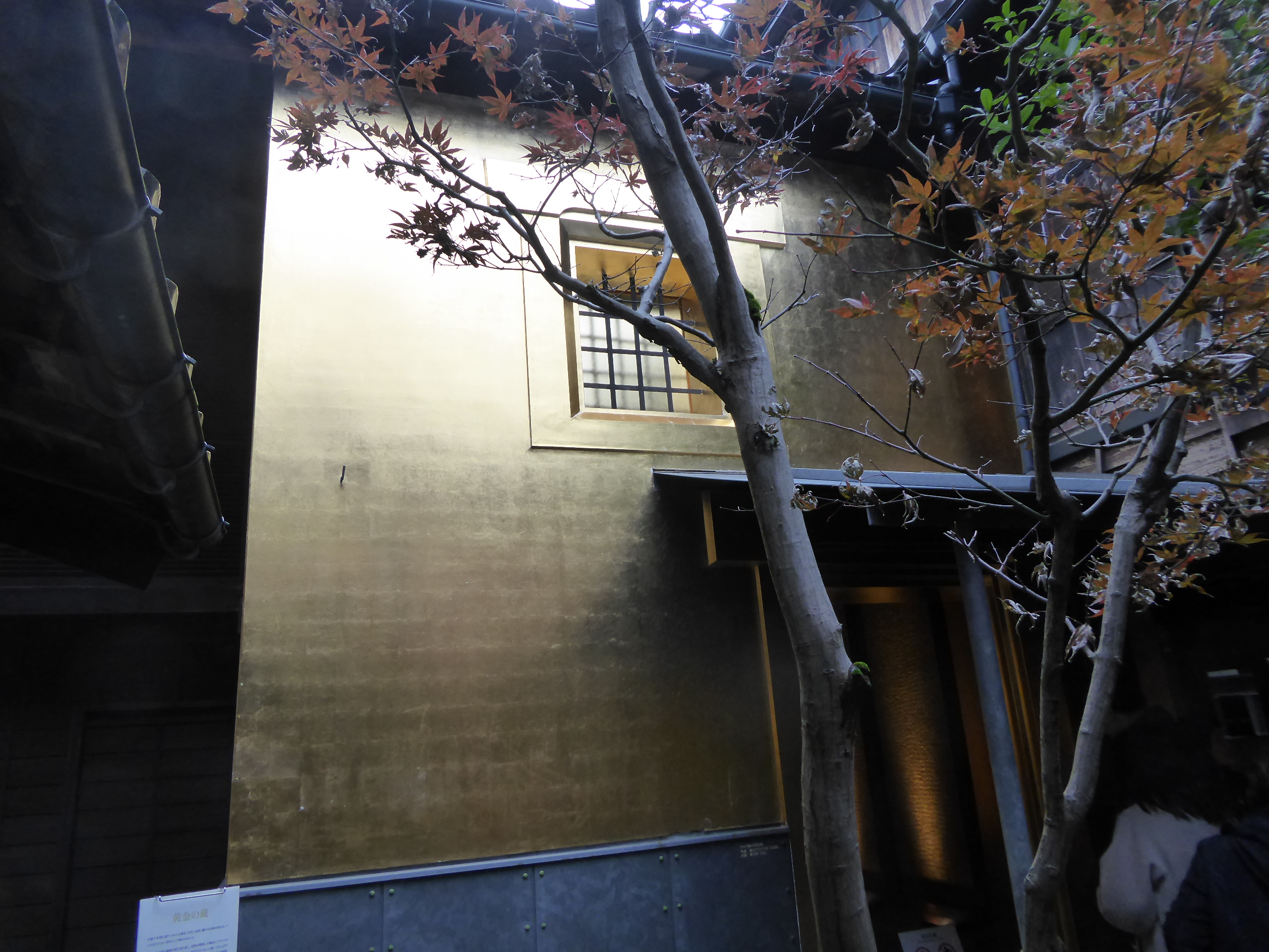 P1100156.JPG