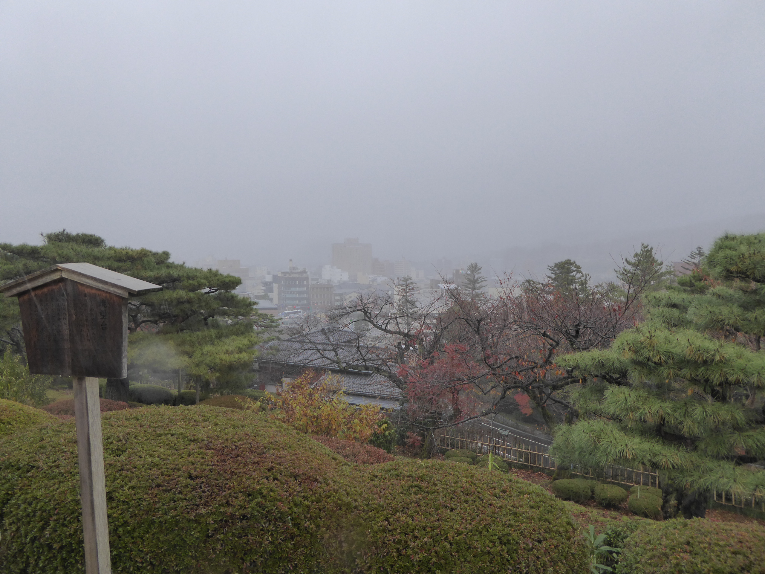 P1100160.JPG