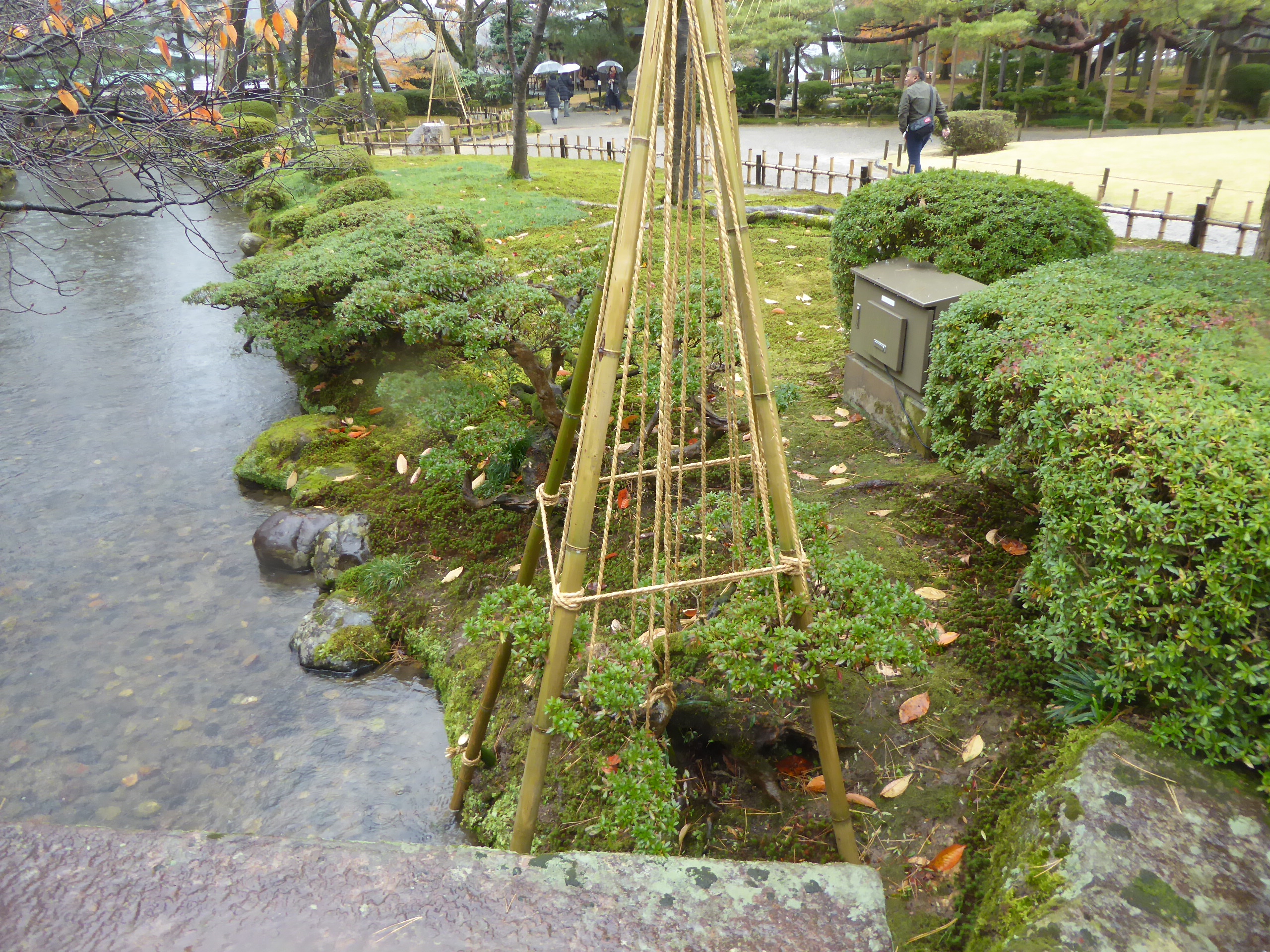 P1100165.JPG
