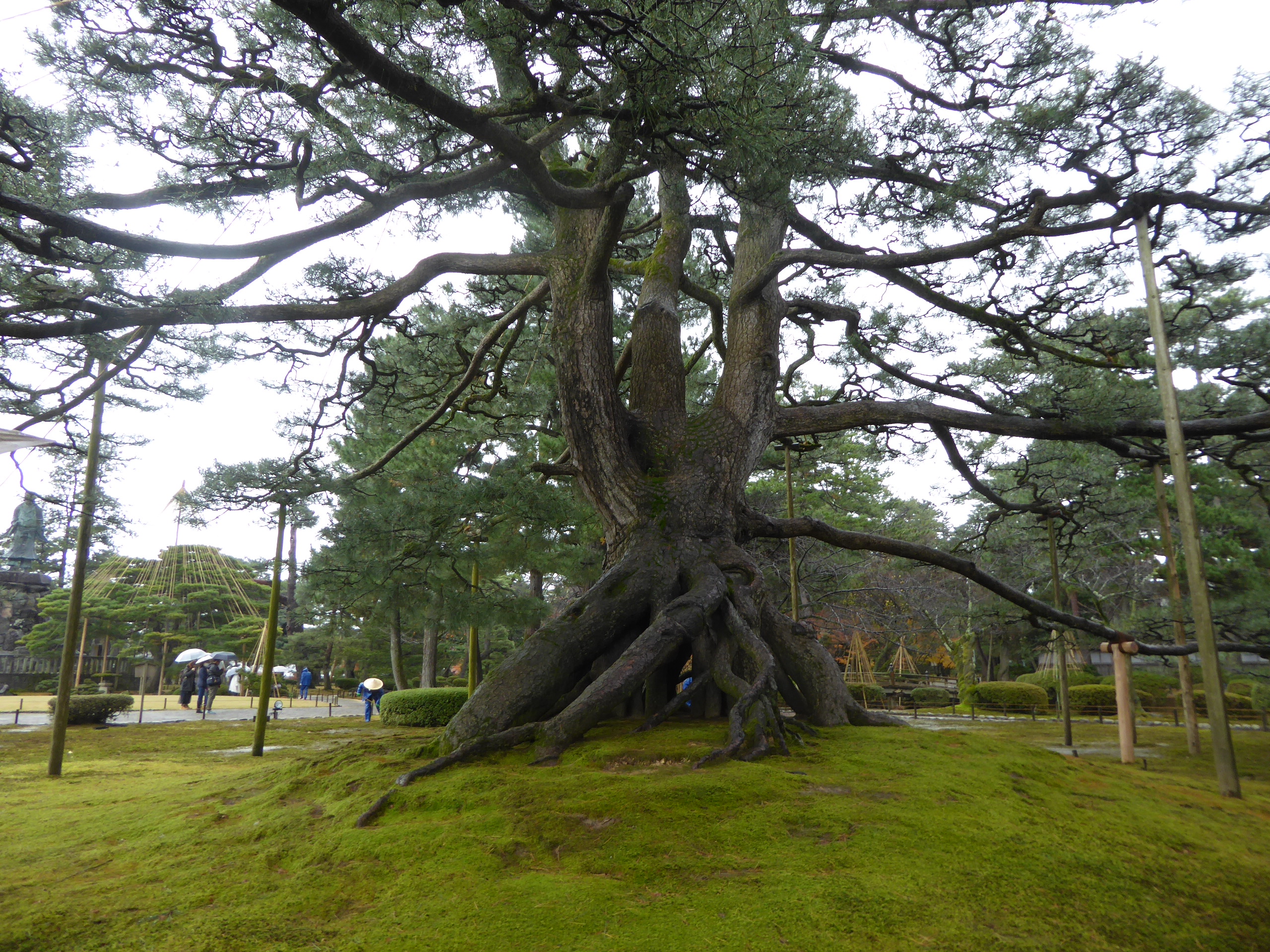 P1100174.JPG