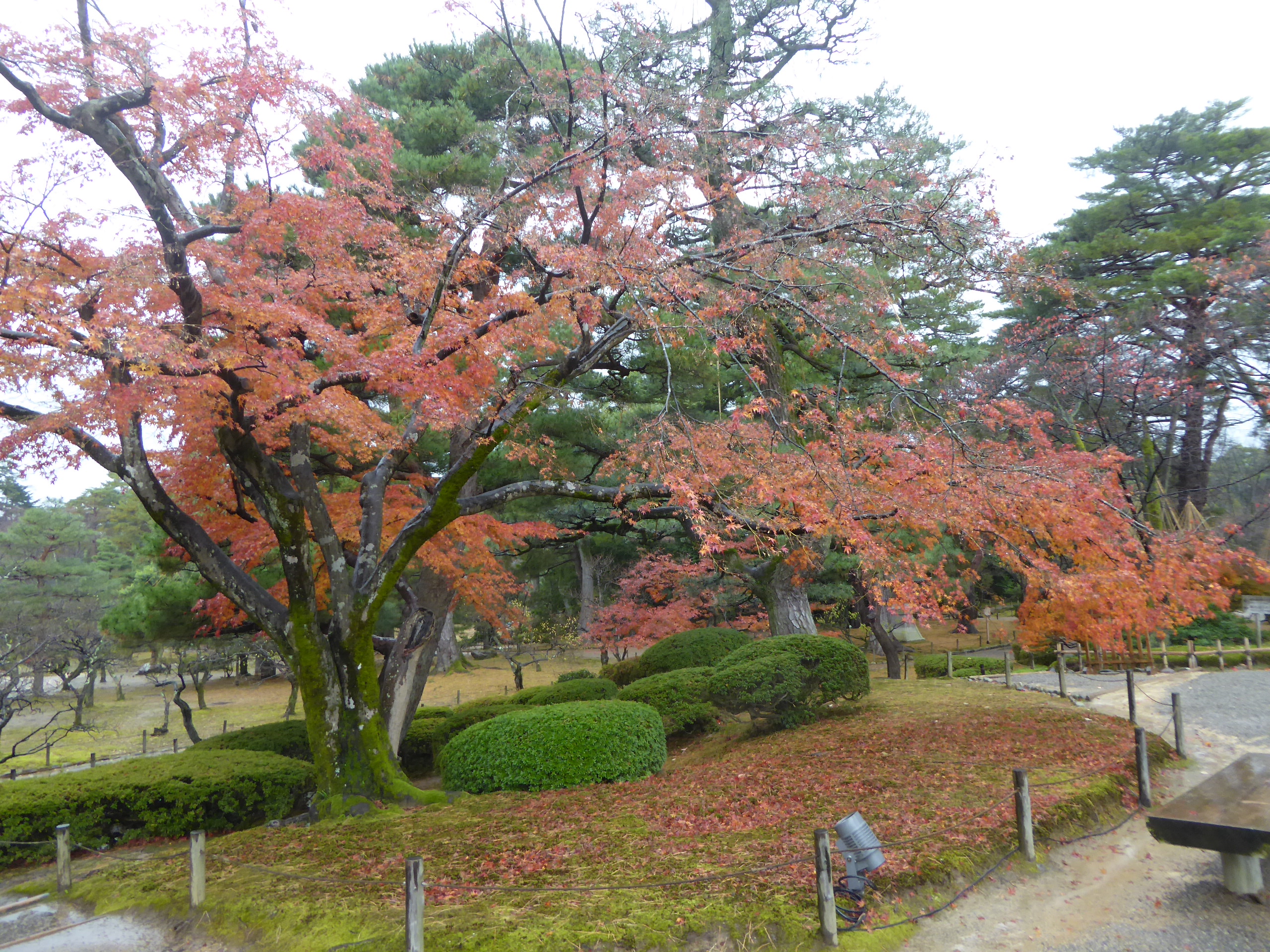 P1100178.JPG