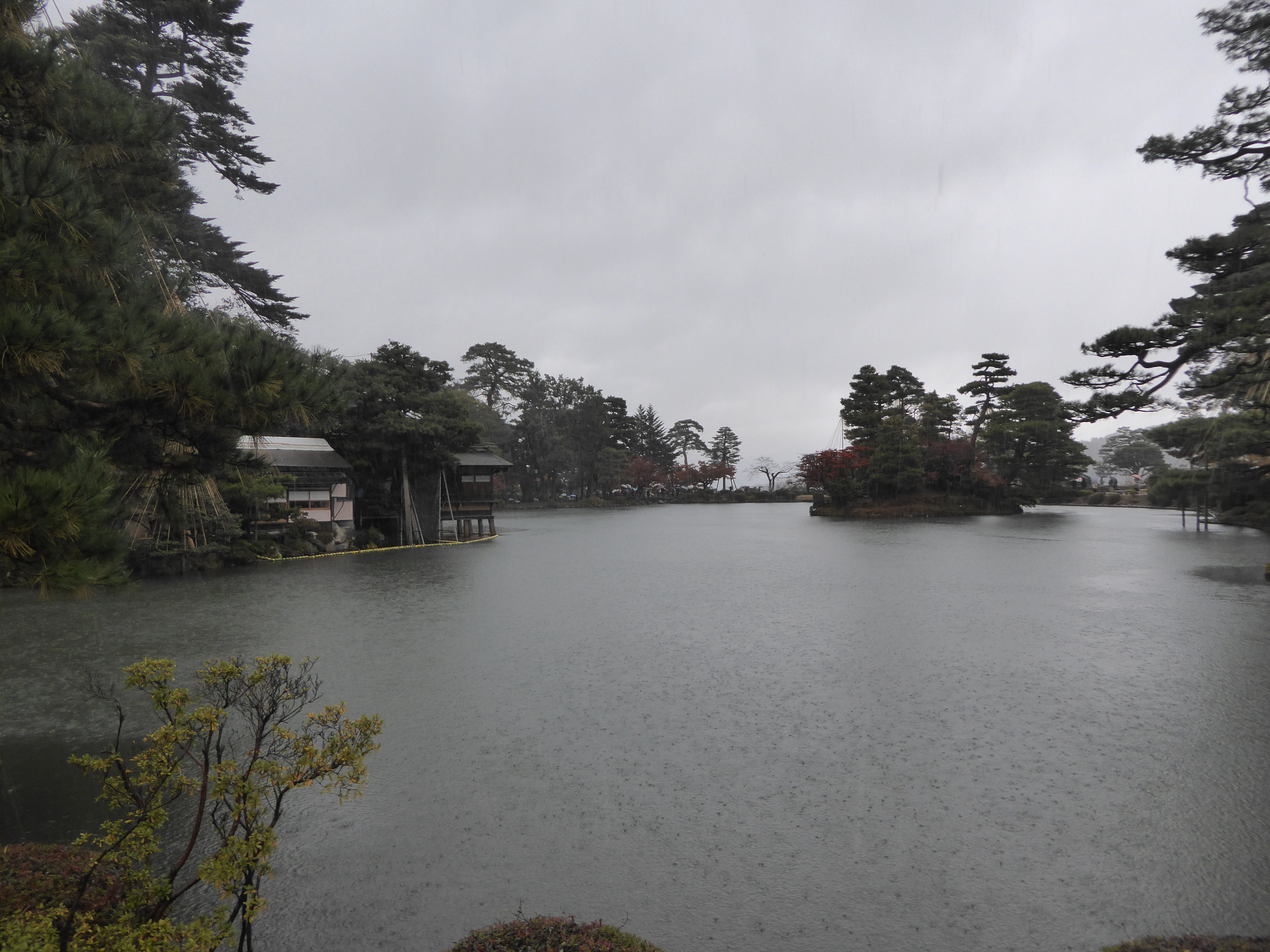 P1100179.JPG