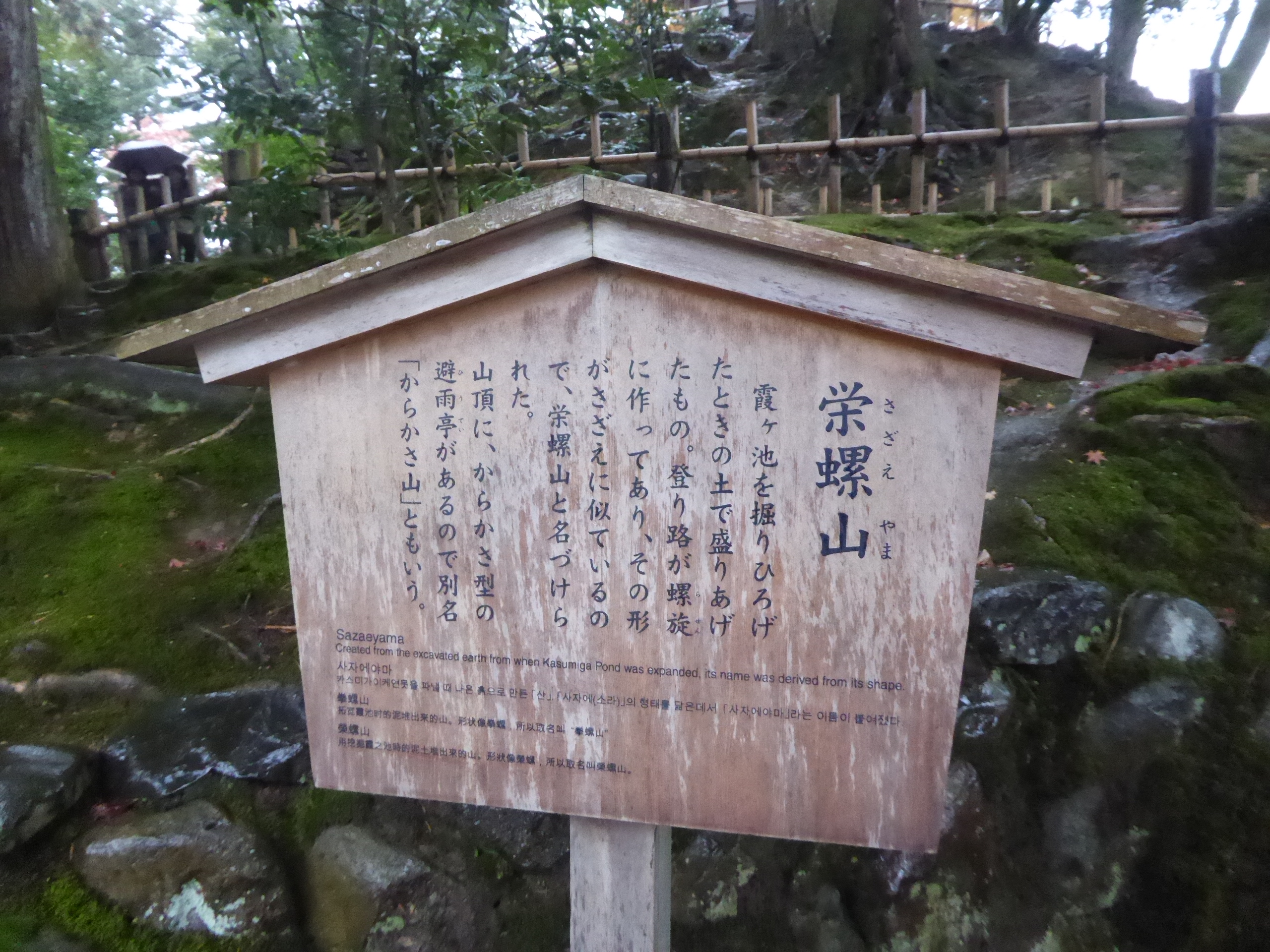 P1100181.JPG