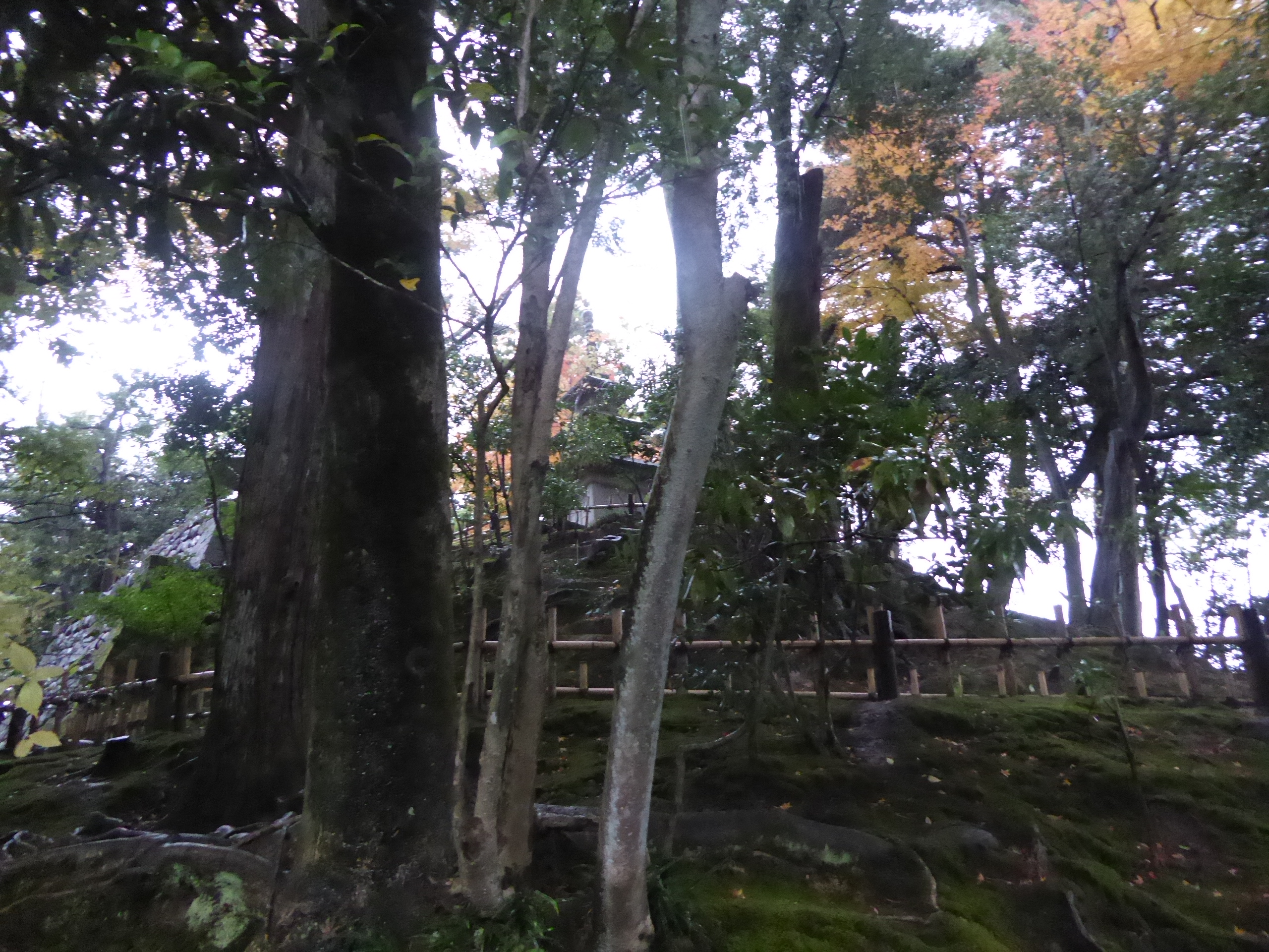 P1100183.JPG