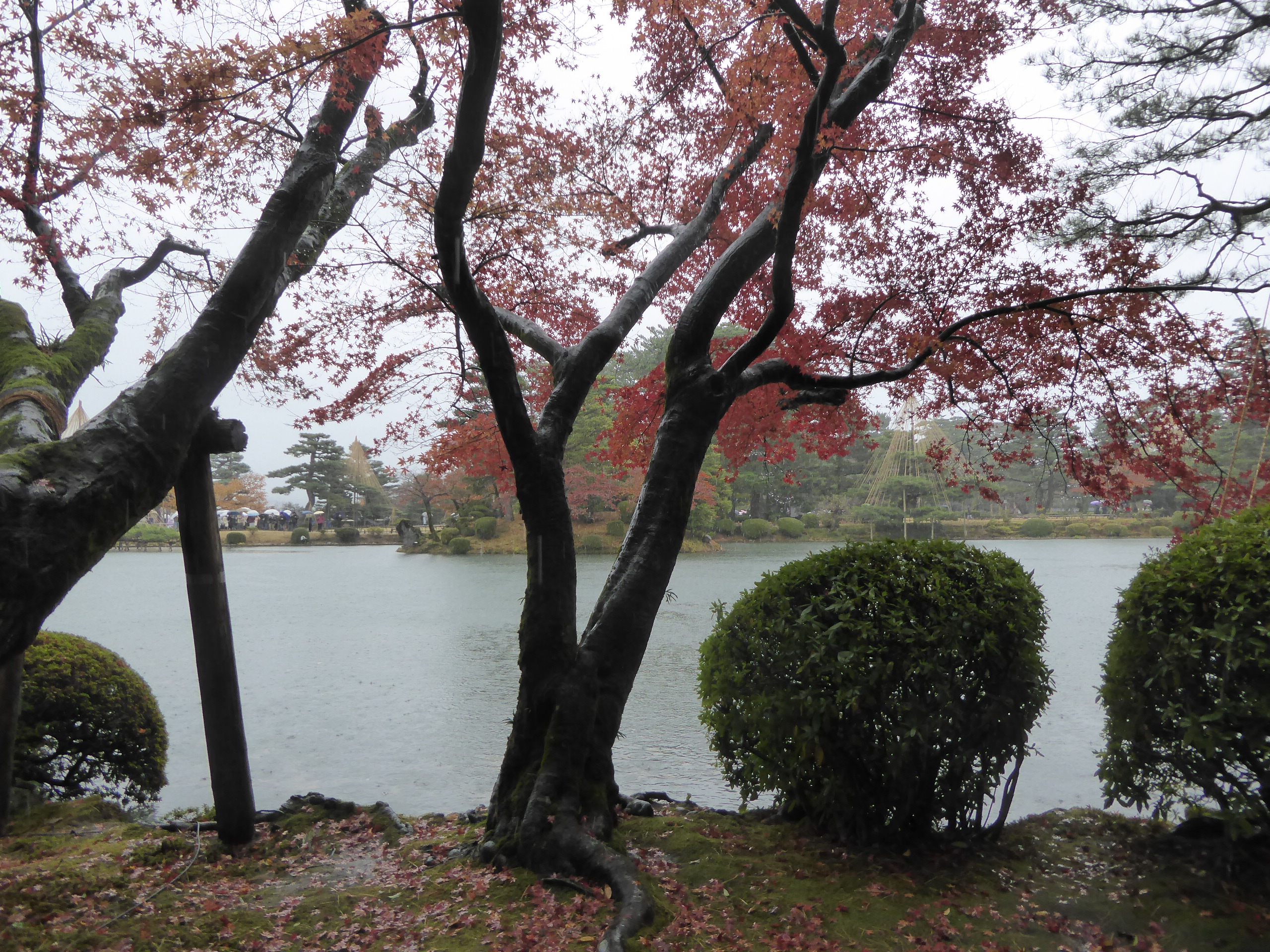 P1100185.JPG