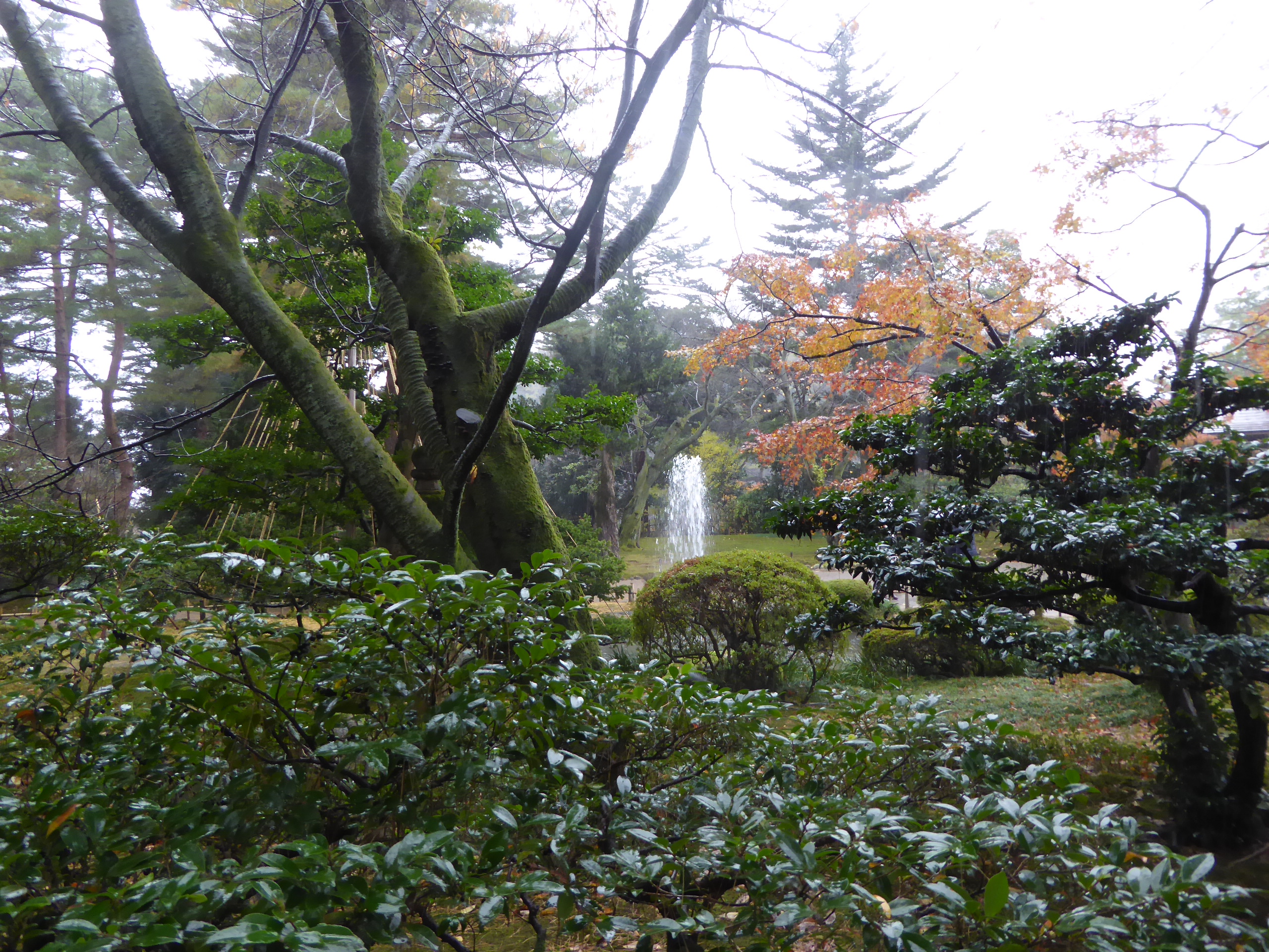 P1100189.JPG