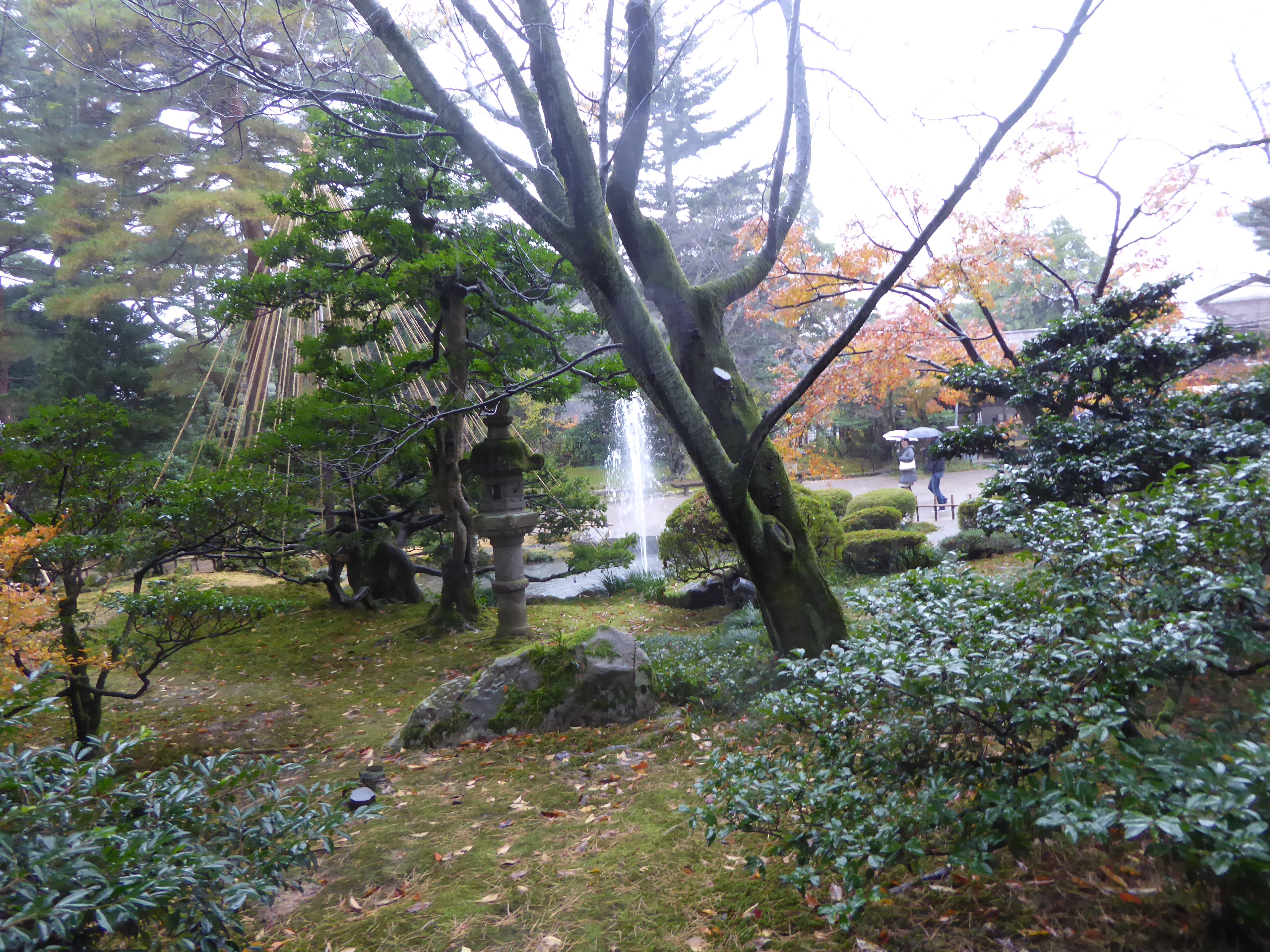 P1100191.JPG