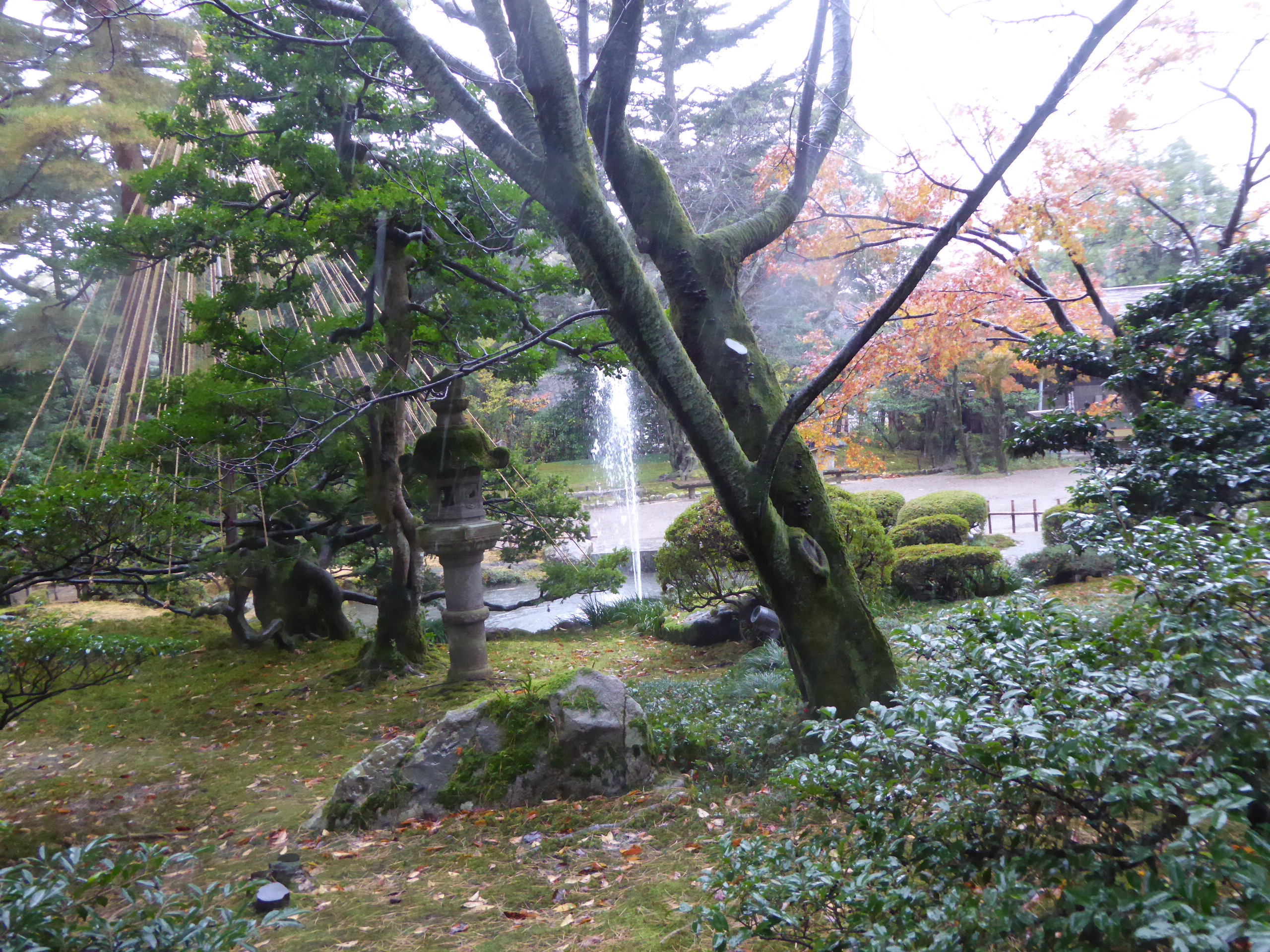 P1100192.JPG