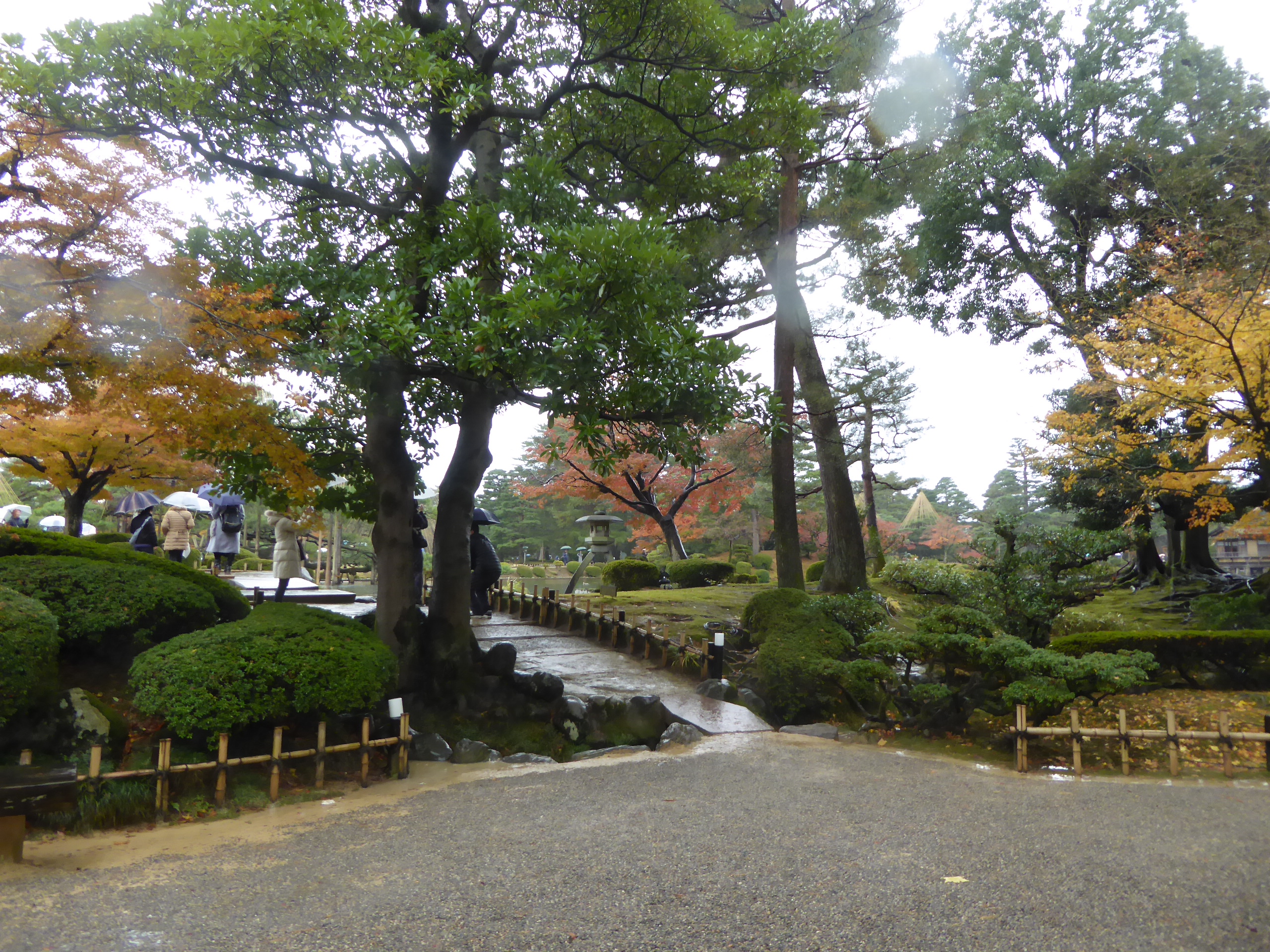 P1100195.JPG