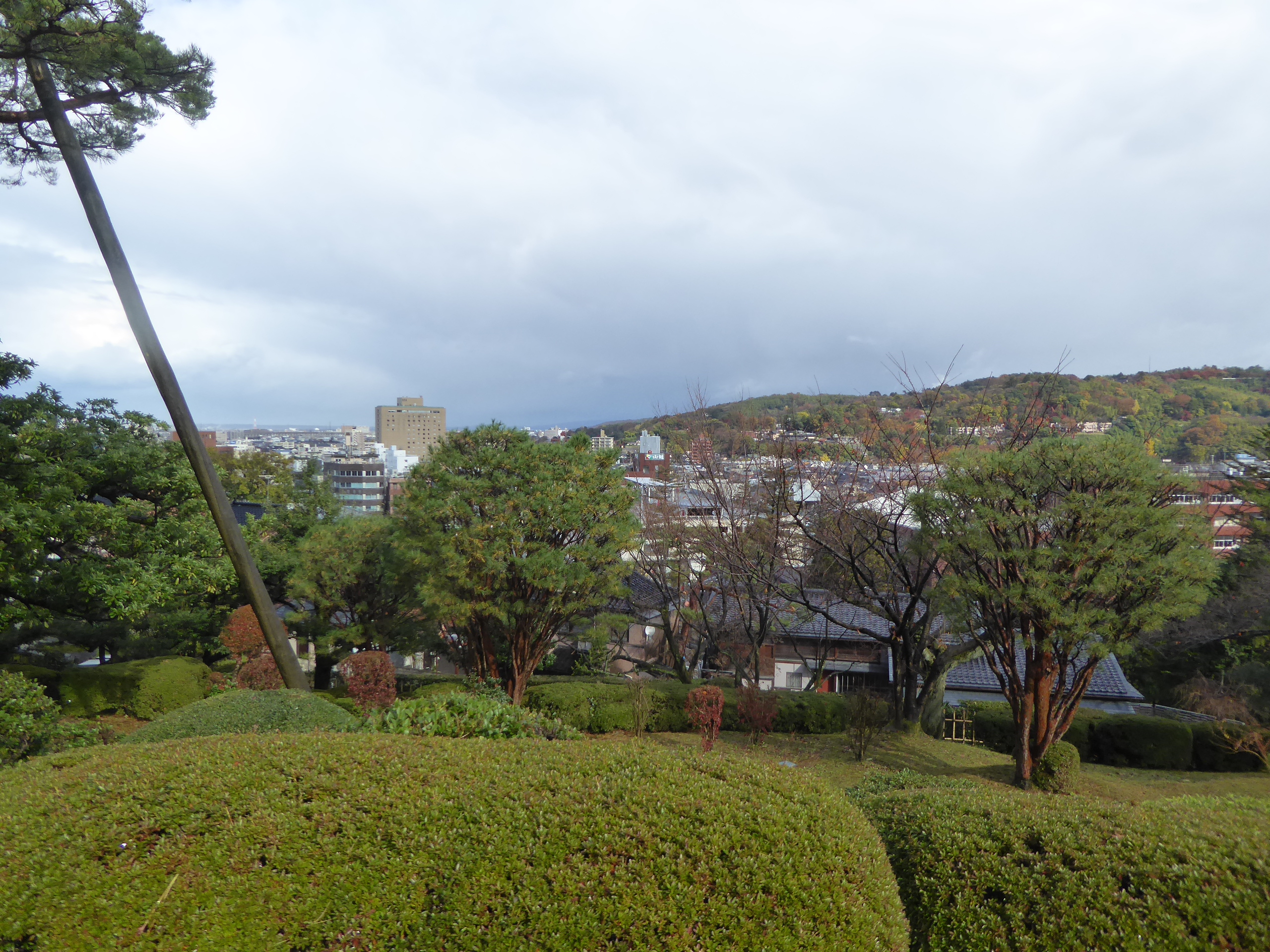 P1100199.JPG