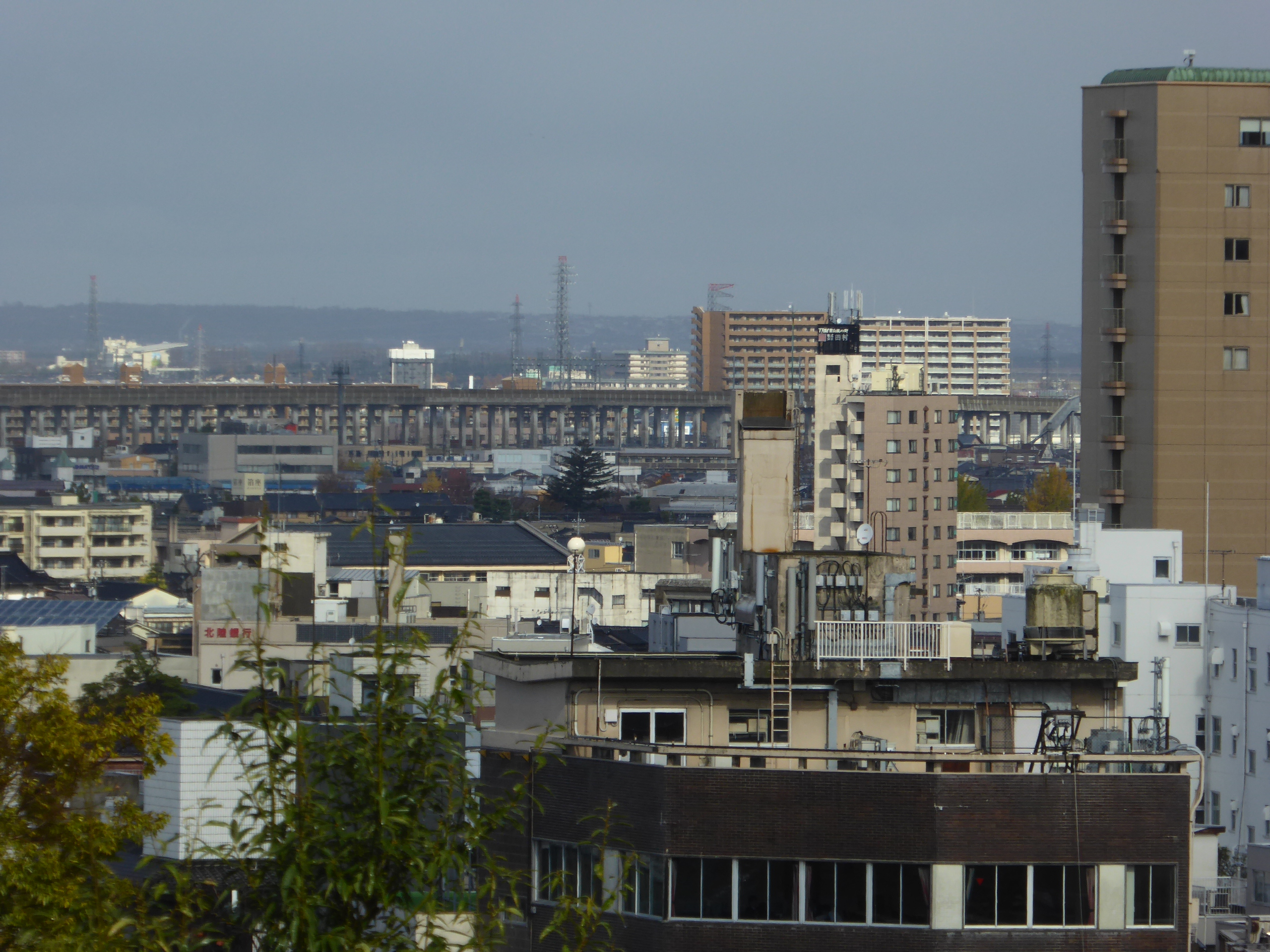 P1100200.JPG
