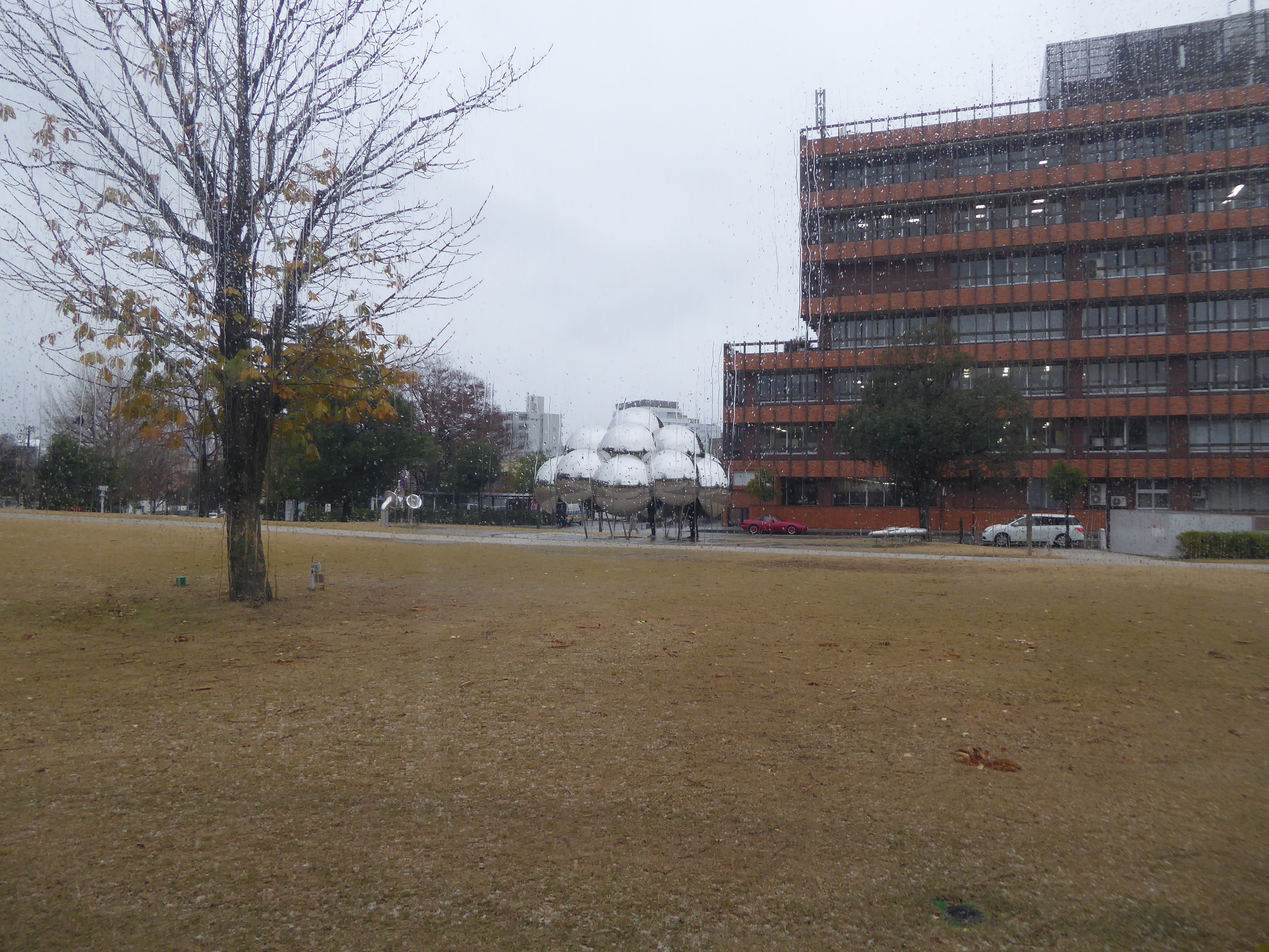 P1100209.JPG