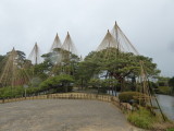 img0007.jpg