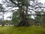 img0017.jpg