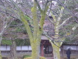 img0019.jpg