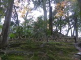 img0025.jpg