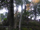 img0026.jpg