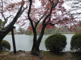 img0028.jpg