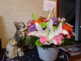 img0003.jpg