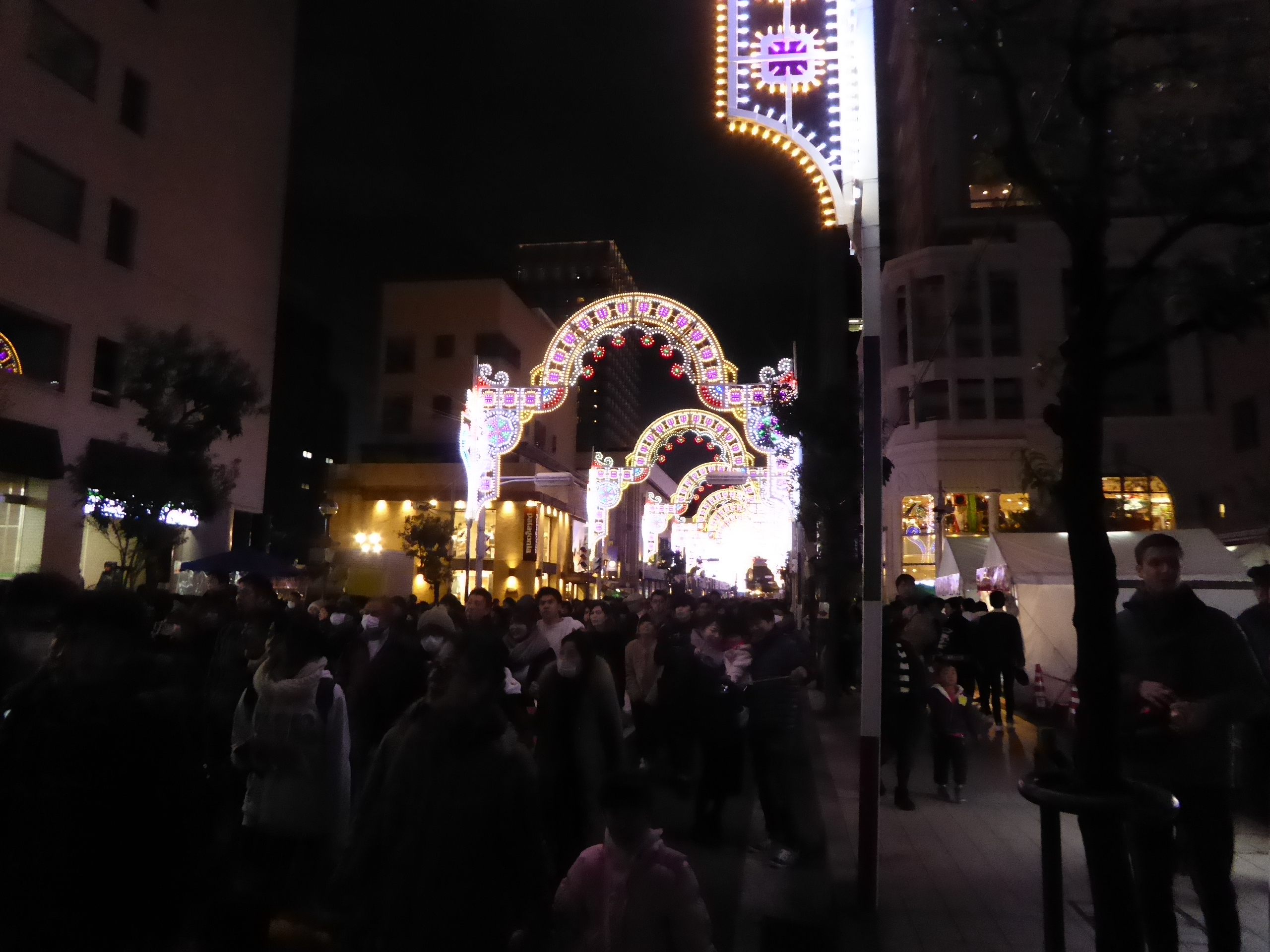 P1100237.JPG