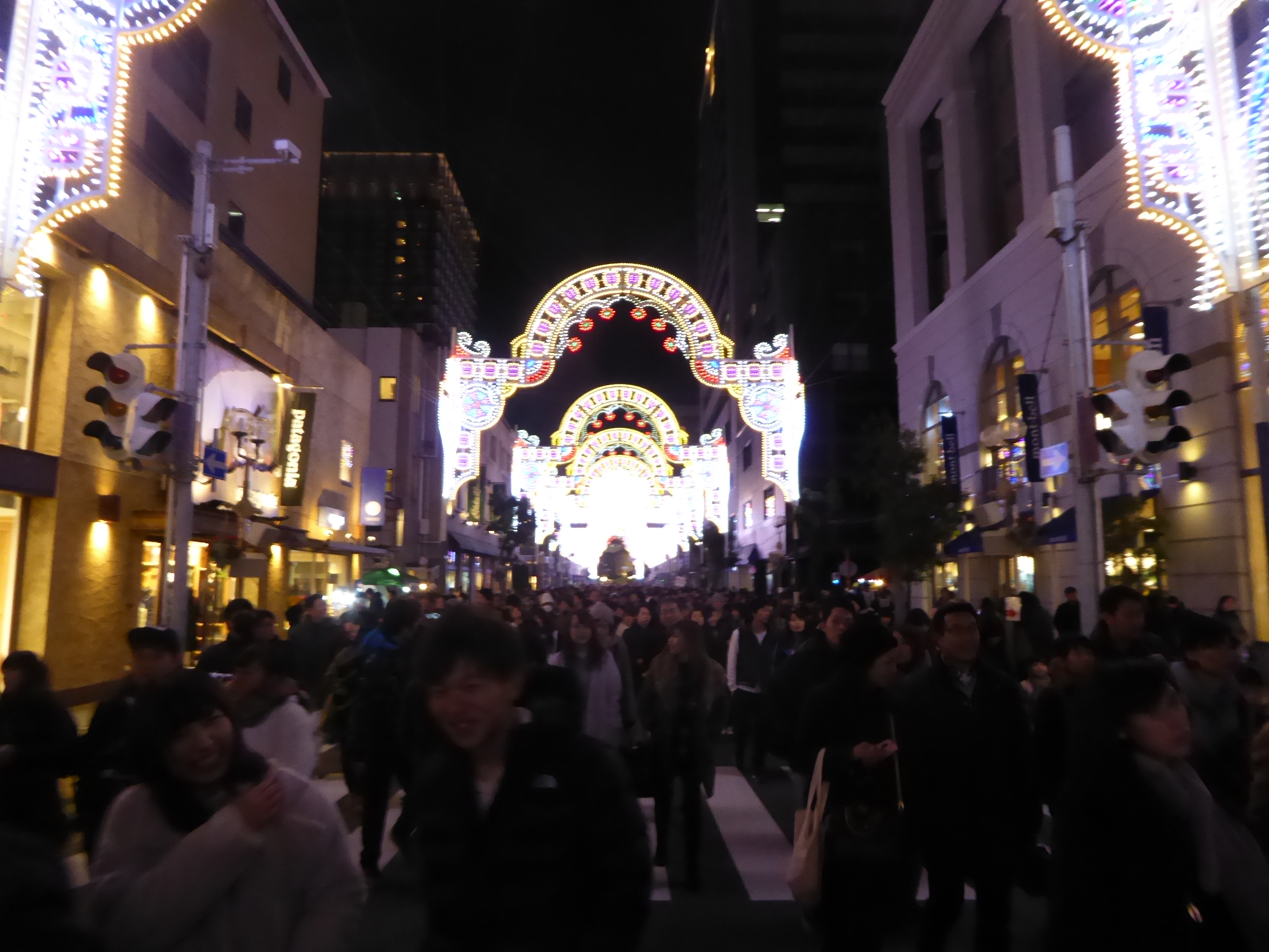 P1100242.JPG