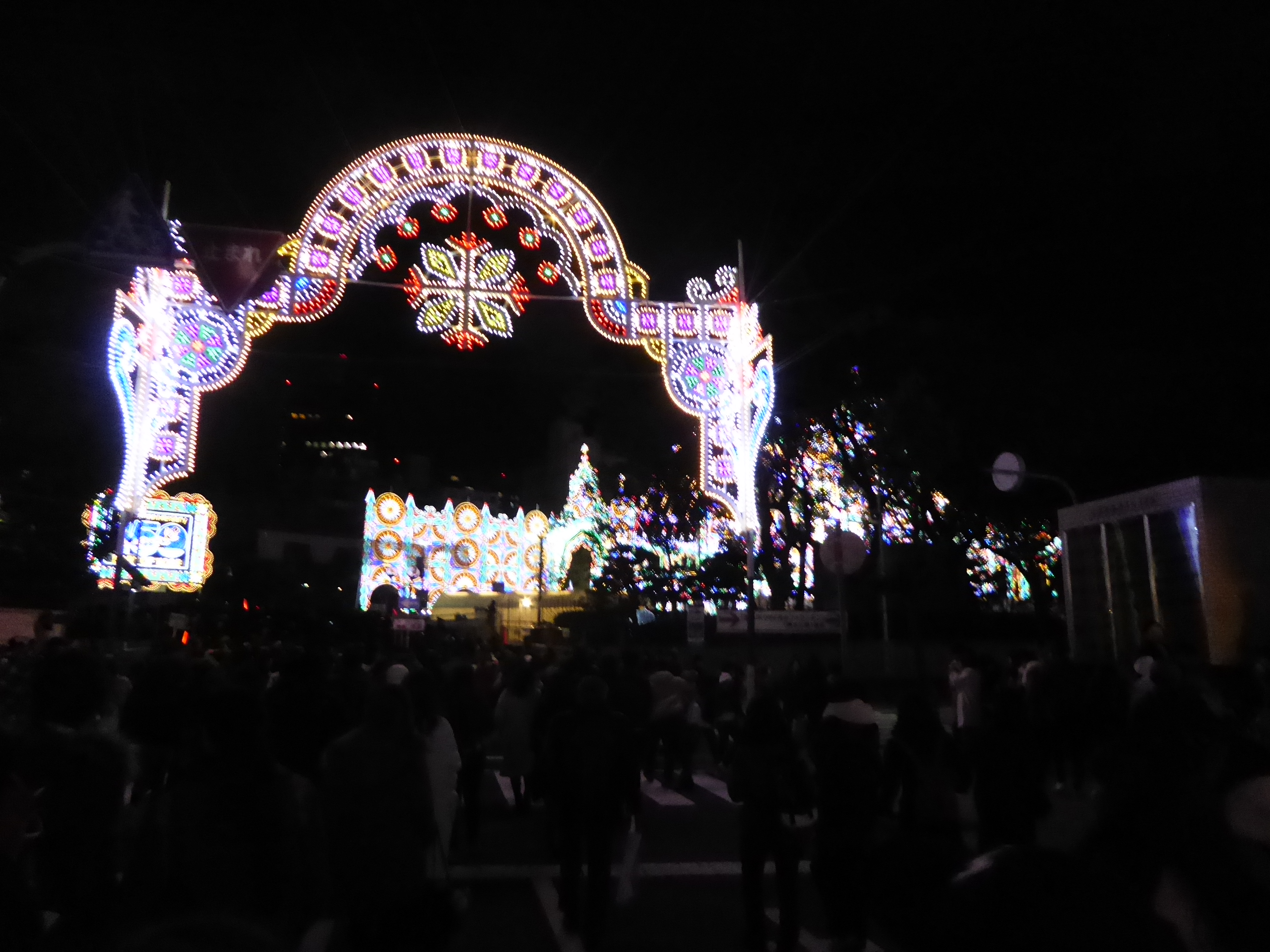 P1100243.JPG