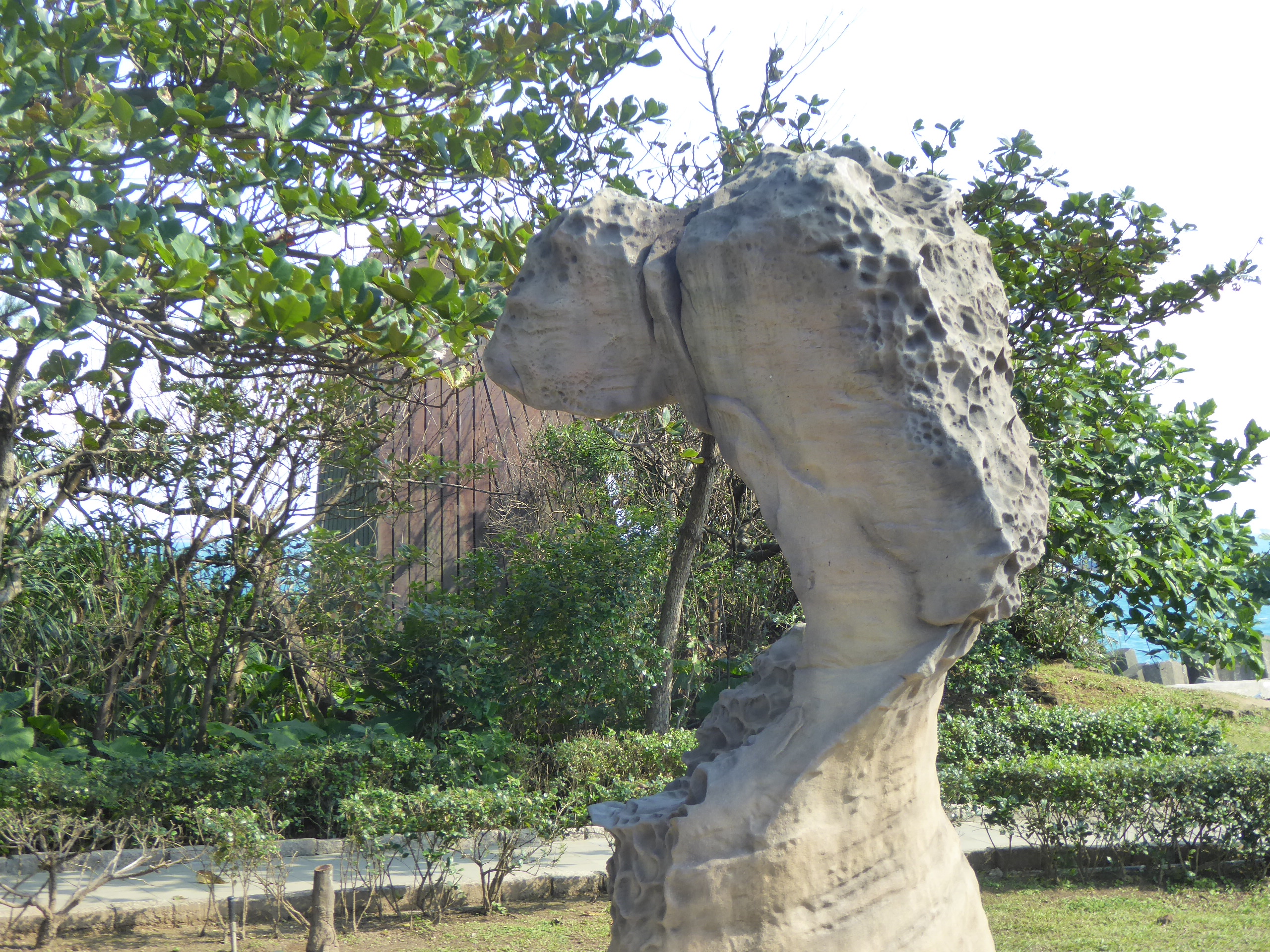 P1100324.JPG