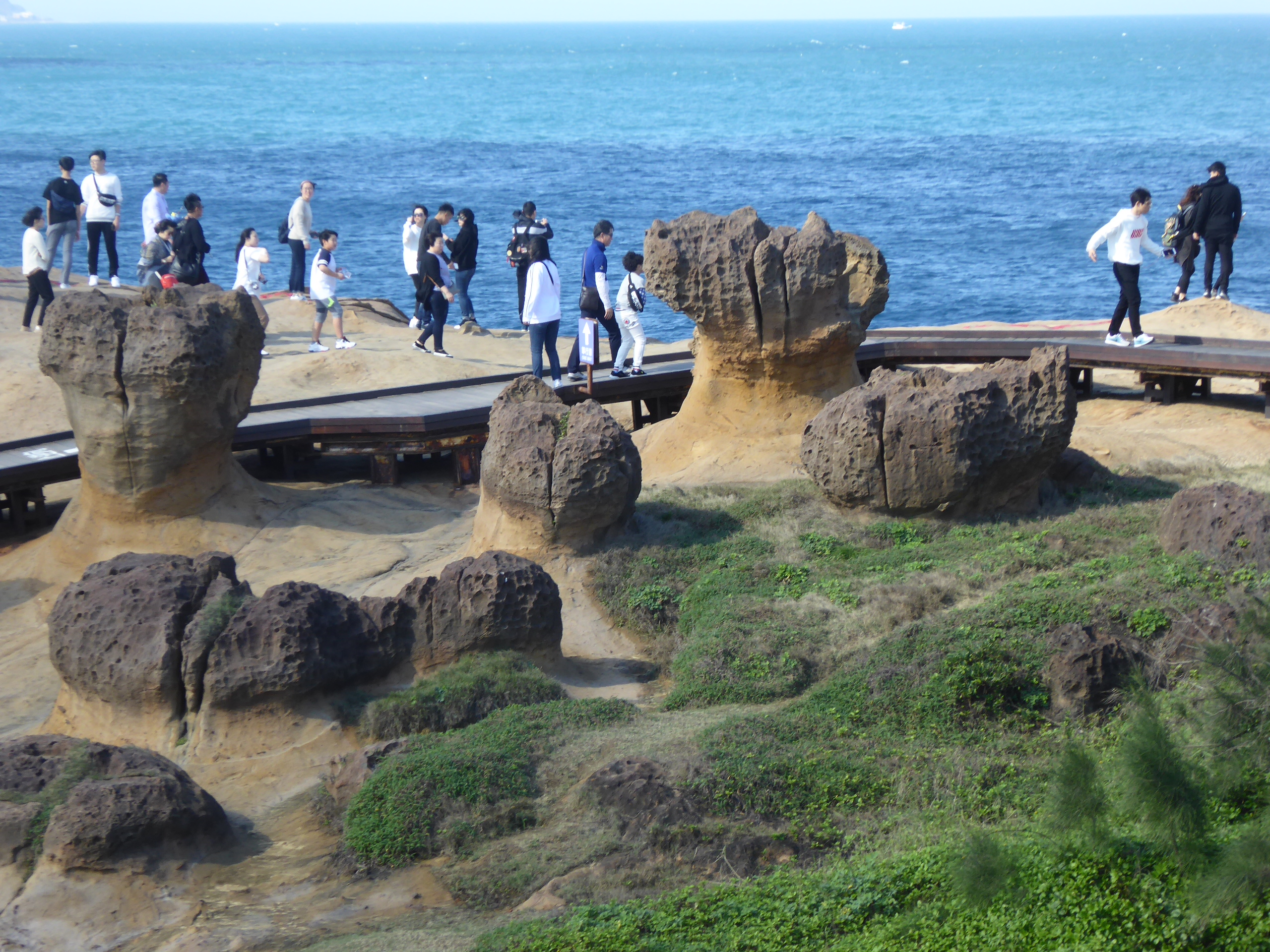 P1100341.JPG