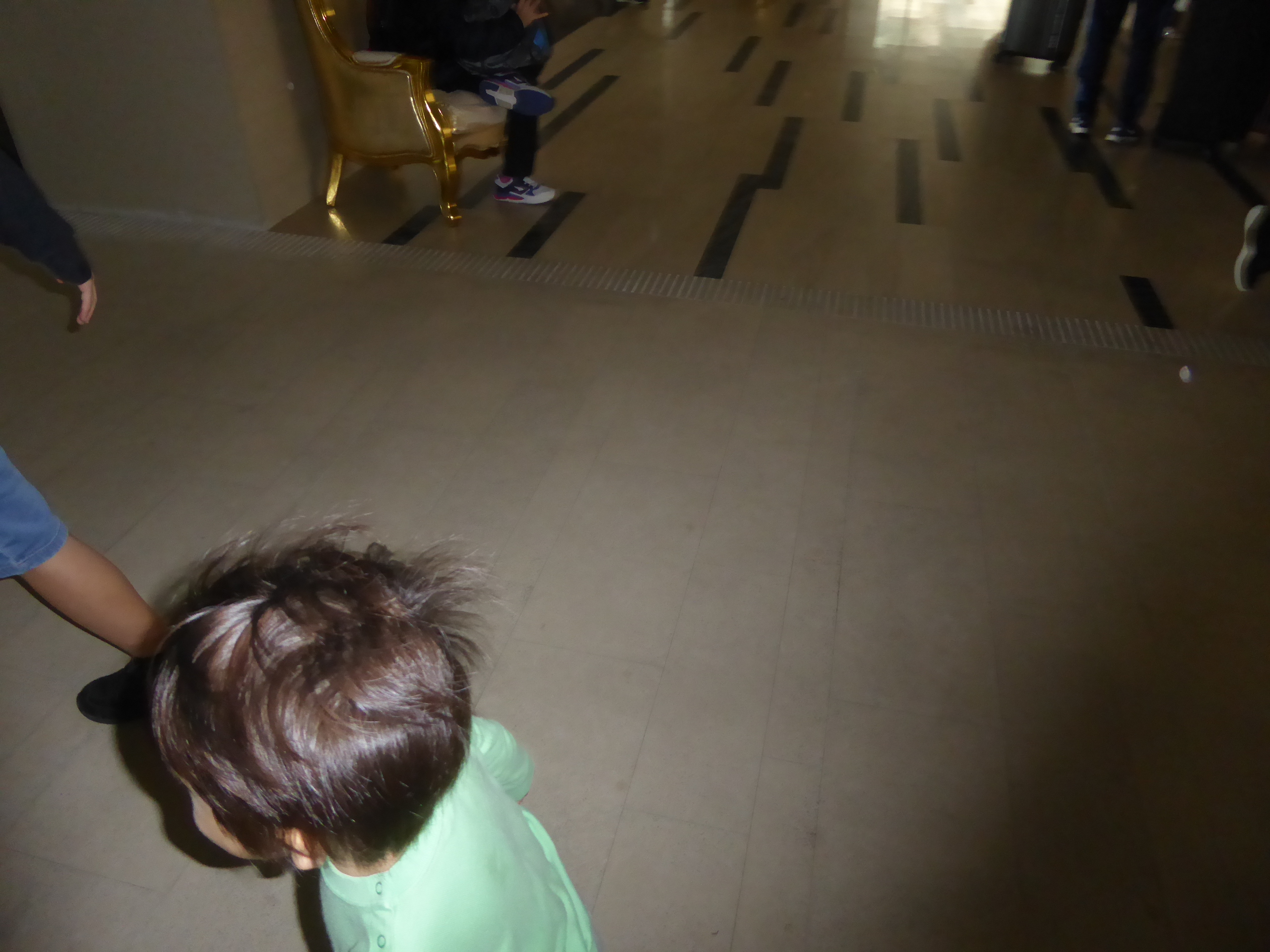 P1100384.JPG
