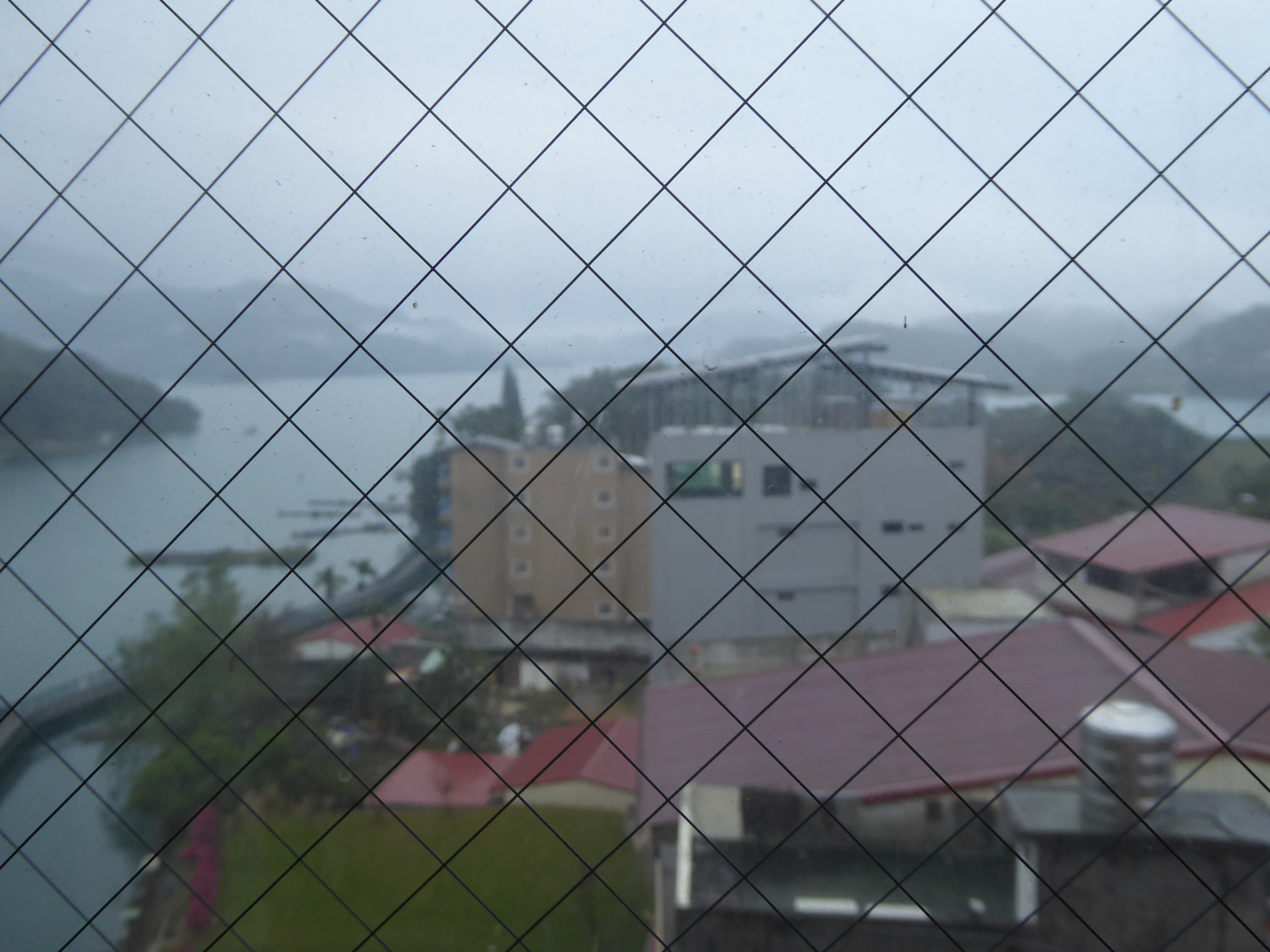 P1100403.JPG