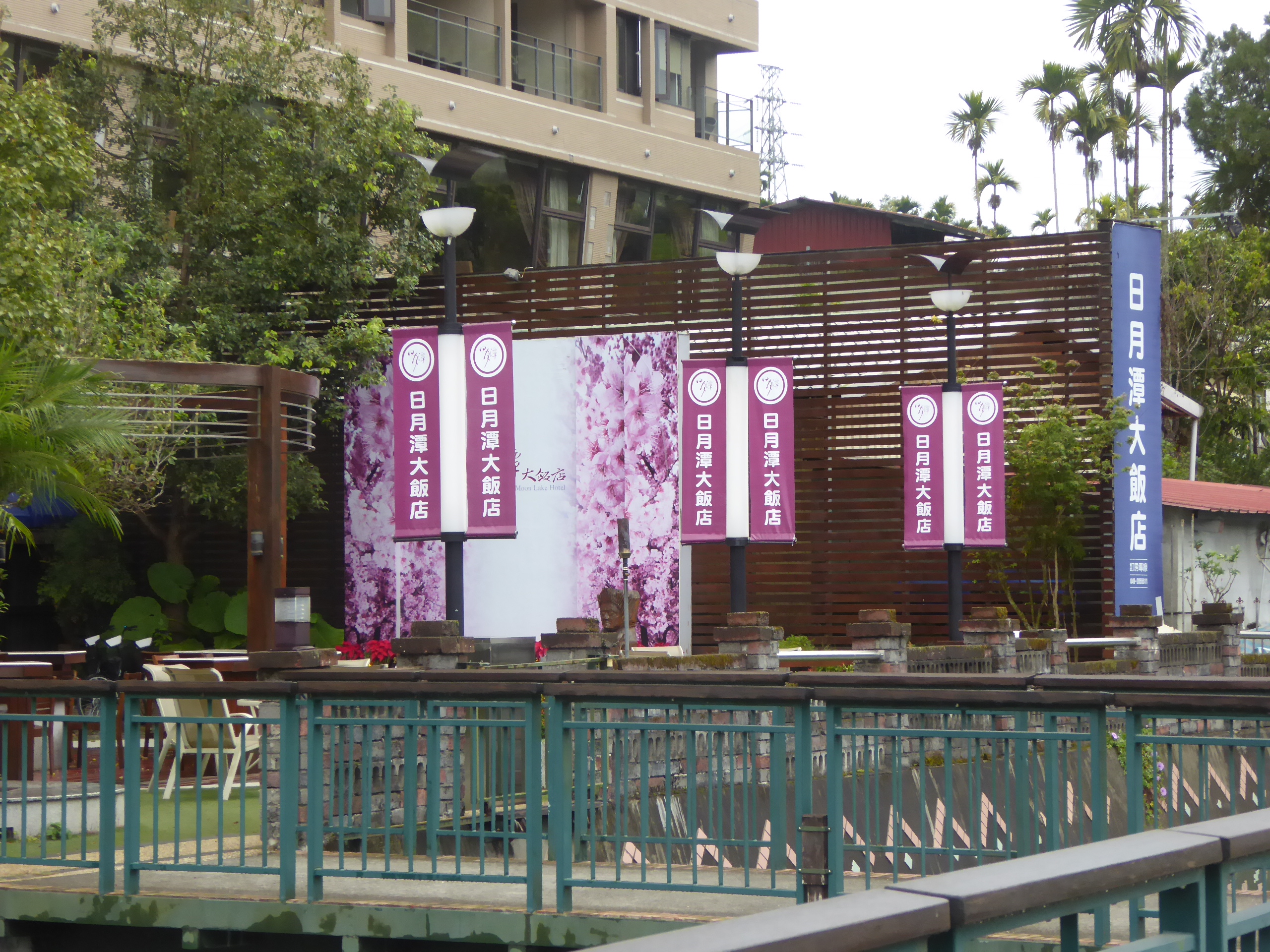 P1100411.JPG
