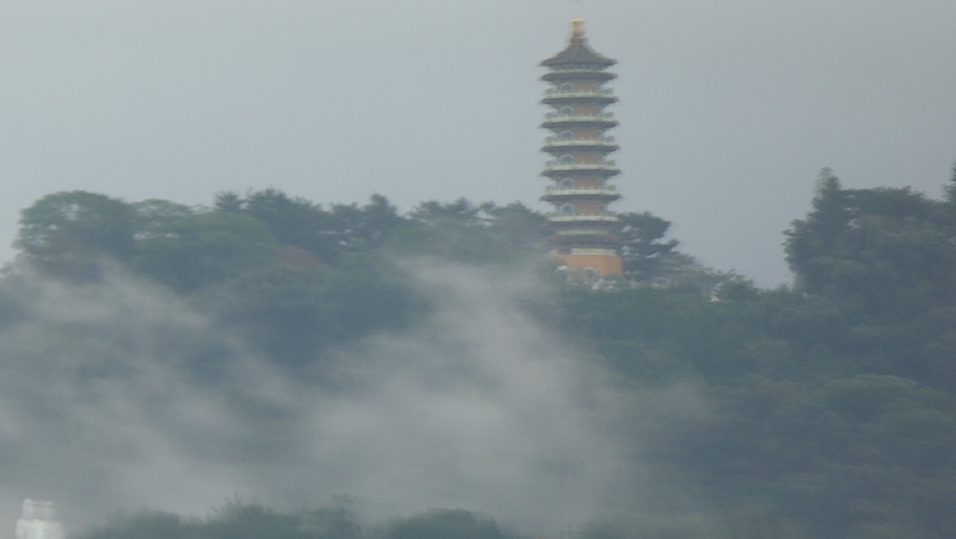 P1100417.JPG