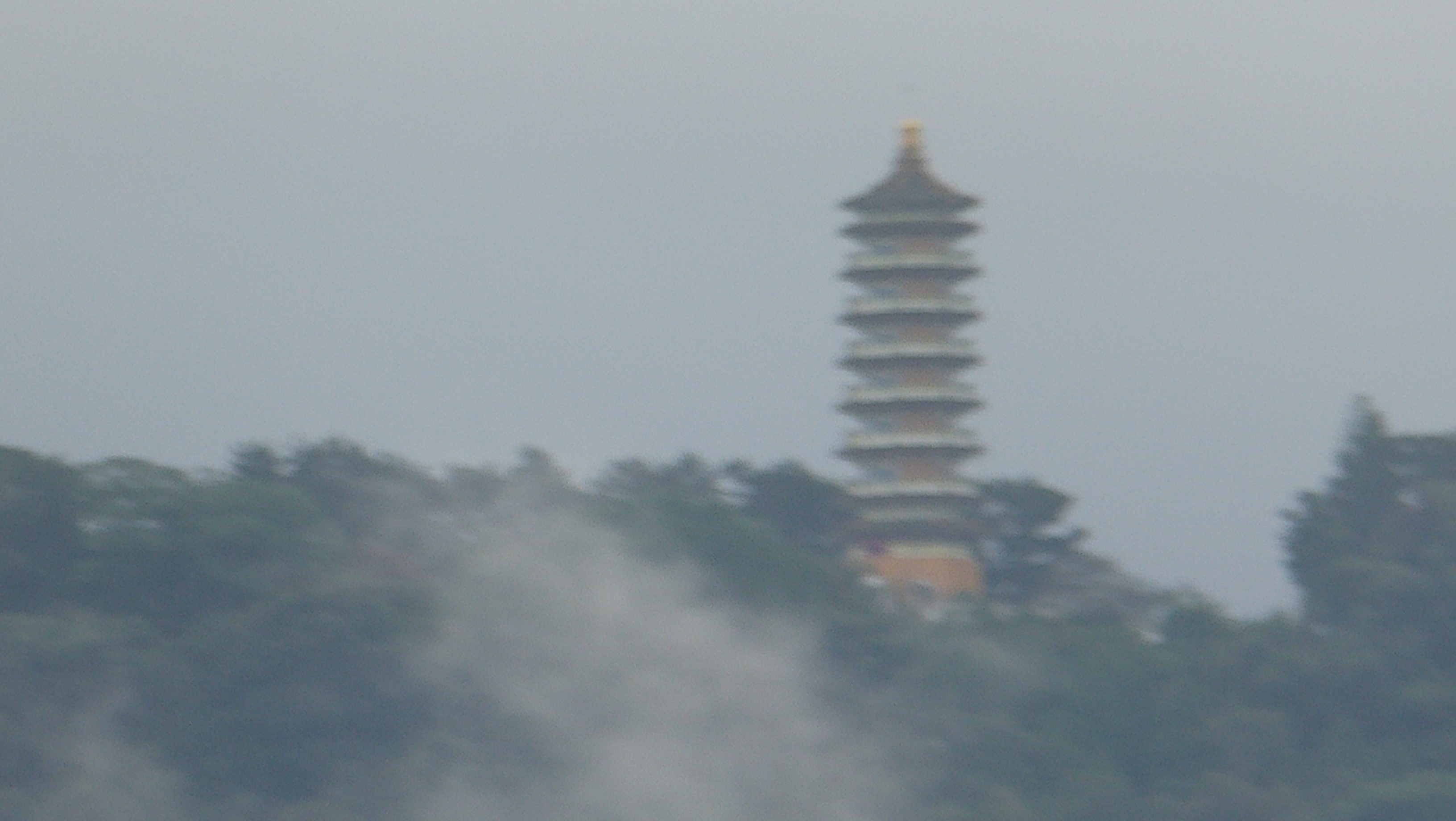 P1100419.JPG