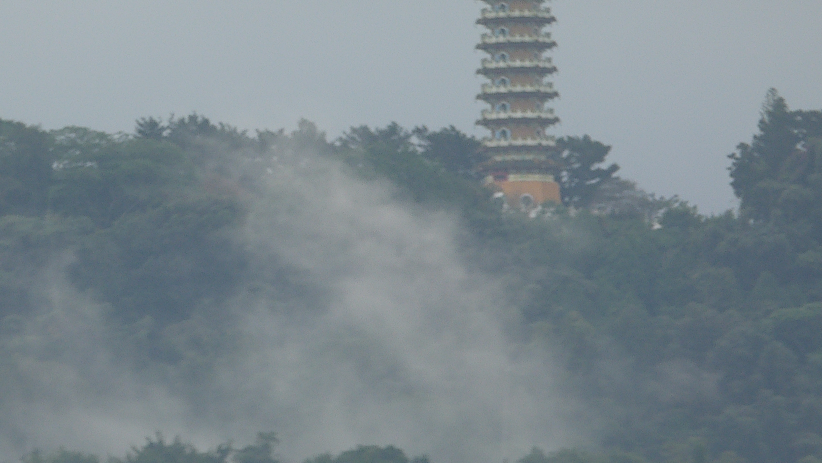 P1100420.JPG