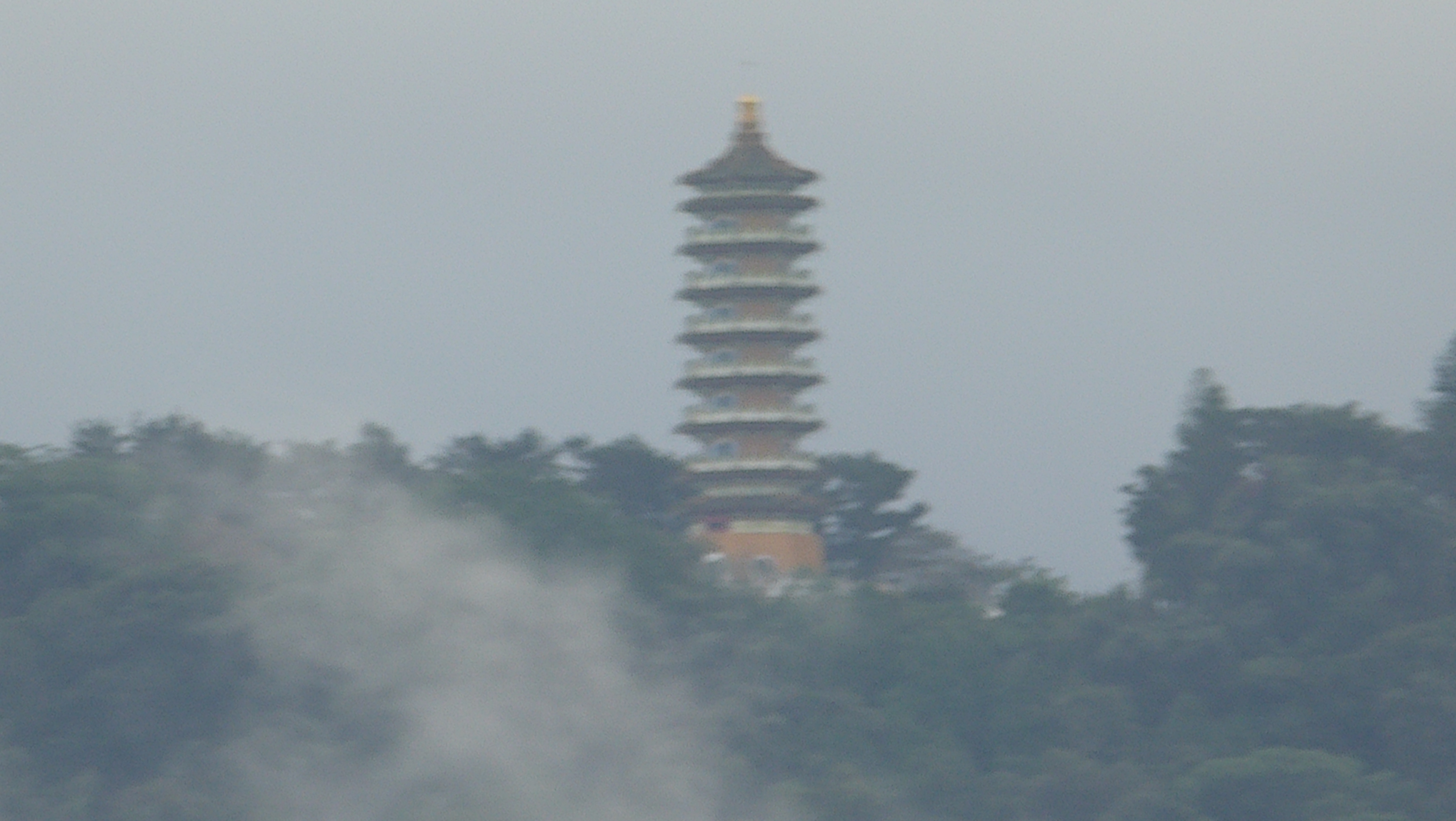 P1100423.JPG