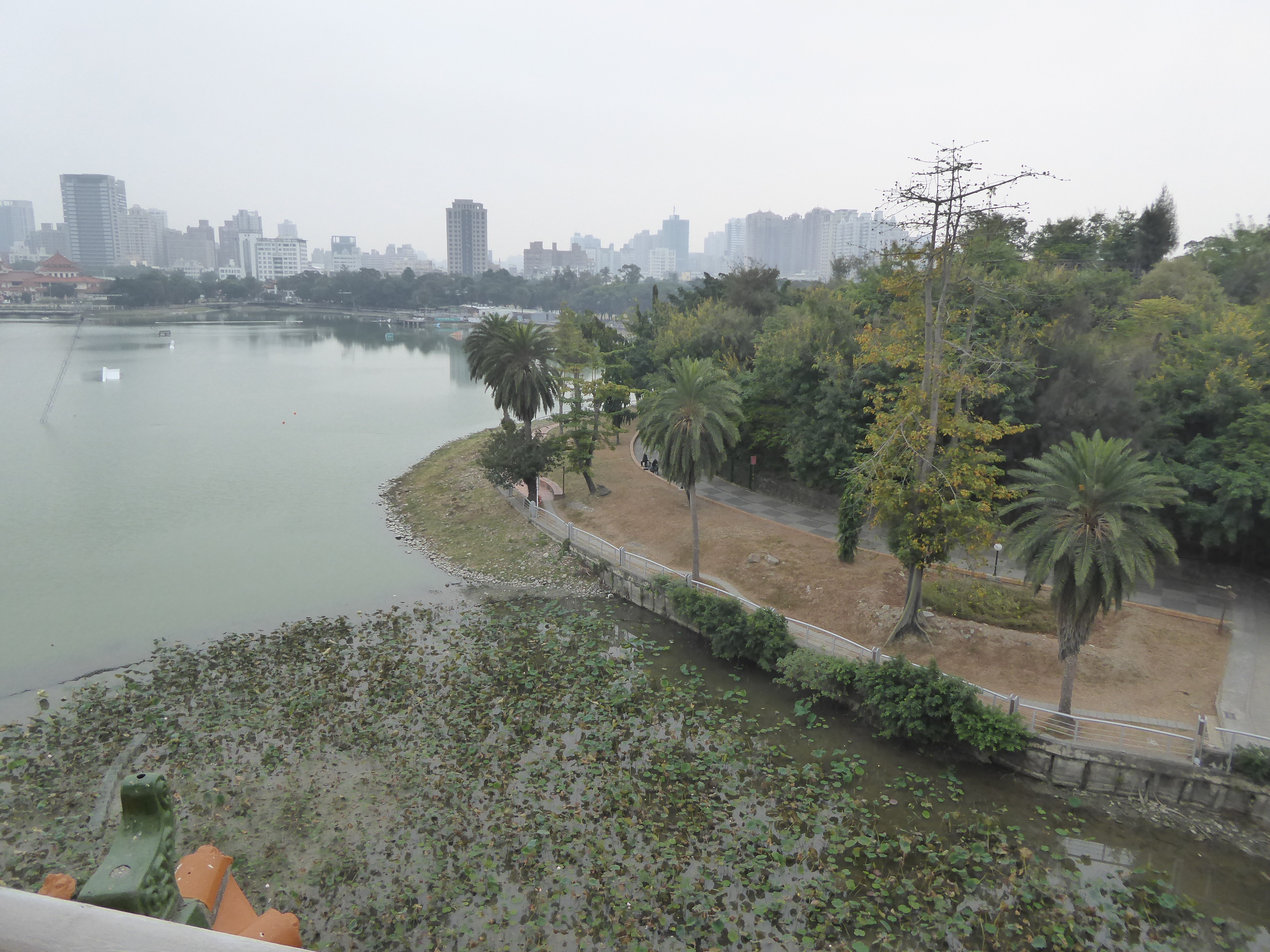 P1100445.JPG